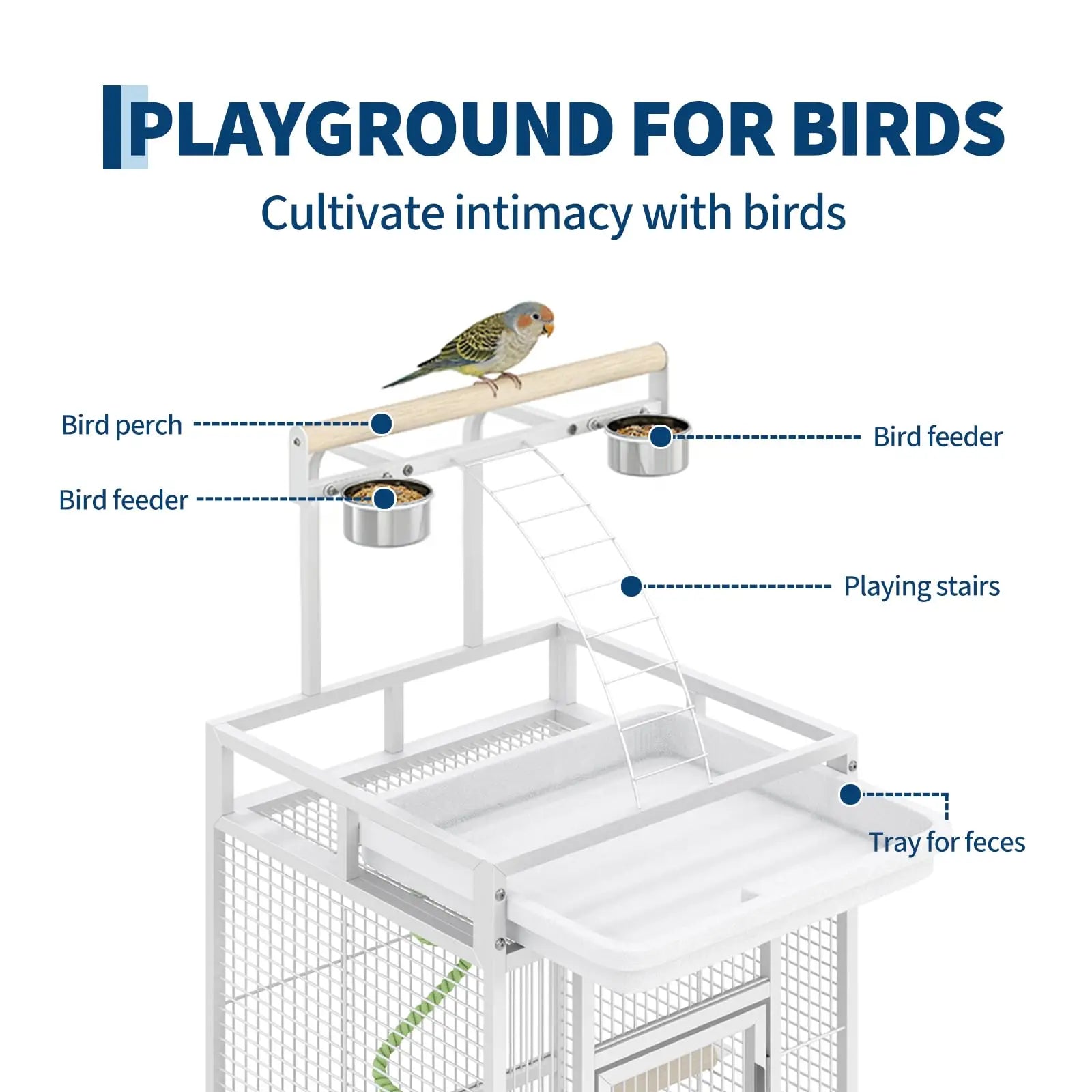 S36d1a85d3133411ebea4898a0859ed8aq