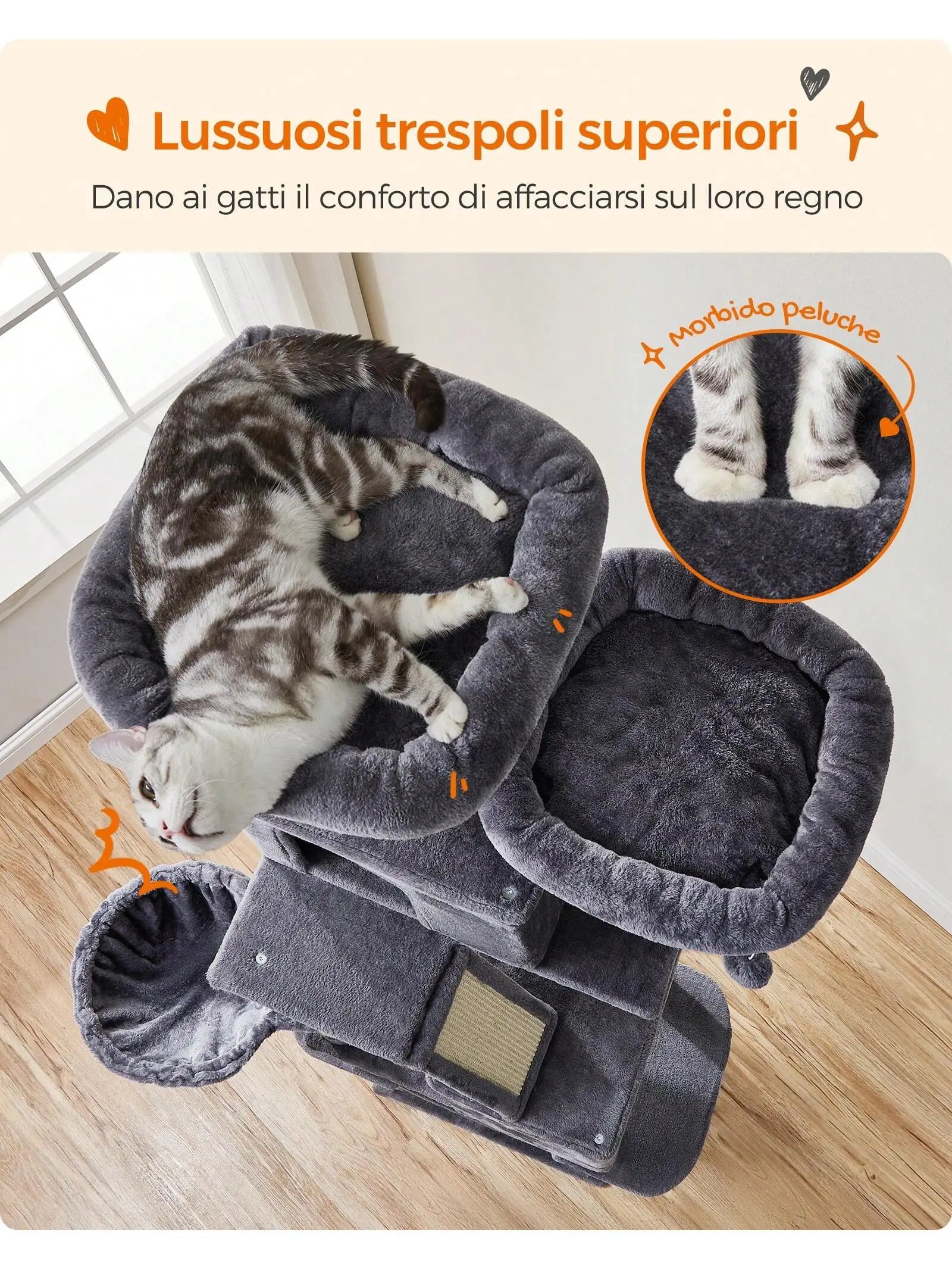 S8ec8ed22262a4ca7a37d1e9c0b18c2ceX